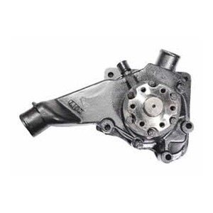 Ensemble pompe à eau et pompe à huile pour véhicule utilitaire, compatible avec TATA 1109 WPA40SMP 252520100125, petite plaque. - Product Image 1