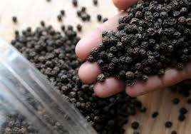 Especias naturales secas enteras de pimienta negra de Vietnam disponibles para venta al por mayor de fábrica - Product Image 3