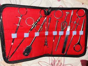 Cánula y Agujas de Alta Calidad para Ordenación de Tetinas, Juego de 10 Piezas de Acero para Ganado, Animales de Granja, Instrumentos Veterinarios - Product Image 6