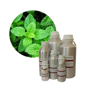 Fabricant d'huile essentielle de menthe verte en vrac pour les applications cosmétiques et parfumerie - Product Image 1