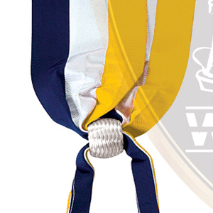 Trendy Sports Ceremonial Band Parade Ceremonial Sash Silk Tri-Color <b>Ribbon</b> with Two Silver Bullion <b>Wire</b> Tassels WOK Industries - Product Image 2