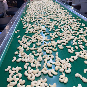 Hot Sale 2026 Vietnam Cashew <b>Nuts</b> Wholesale Ww180, Ww210, Ww320 Tanzania Cashew <b>Nuts</b> Ready To Ship - Product Image 1