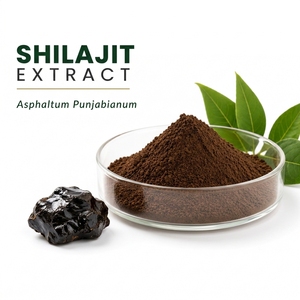 Résine de Shilajit Premium, extrait minéral naturel à base de plantes, Shilajit pur de montagne pour le bien-être quotidien et un mode de vie actif - Product Image 4