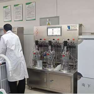 Bioréacteur en verre de culture bactérienne Bailun 10L Bon pour le développement de processus - Product Image 3