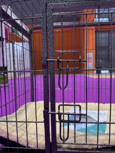 Ağır Metal köpek kafesi ışıklık ön kapı birden boyutları uygun köpek sandık katı desen evcil hayvan kafesi çelik tel çerçeve ile - Product Image 5