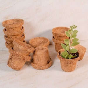 Mini macetas para la plantación de semillas pequeñas a granel, más vendidas - Product Image 6