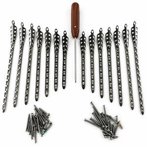21 Pcs Stainless Steel Bone Plates and Screws <b>Set</b> with <b>Driver</b> Orthopedic Trauma Implant Fixation Surgical Instrument Kit - Product Image 1