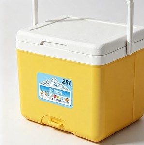 Glacière isotherme portable en plastique PP de 22 L avec blocs de glace pour hôpital, camping, maison et stockage au froid en voiture - Product Image 2