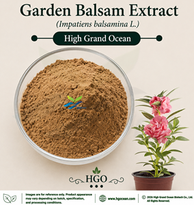 Suministro Directo de Fábrica HGO de Extracto Natural de Bálsamo de Jardín (Impatiens balsamina L.) en Proporciones 4:1 5:1 10:1 20:1 100:1 200:1 - Product Image 1