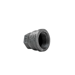 Raccord de tuyauterie en fonte malléable et acier inoxydable, raccord réducteur à douille en acier inoxydable - Product Image 5