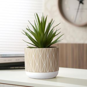 Succulenta Artificiale Realistica da 20 cm in Vaso Stile Rustico per Decorazione Casa, Ufficio e Mensole - Pianta Verde per Casa e Ufficio - Product Image 6