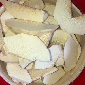 FRUTA DE PAN CONGELADA DE ALTA CALIDAD DE VIETNAM - NATURAL y FRESCA, IDEAL para COCINAR, HORNEAR y Aperitivos - Product Image 1