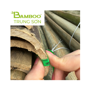 DISPONIBLE Bambú Ecológico de Medio Corte para Elegantes Actividades de Montaje de Cometas en Pakistán, Material de Construcción Resistente para Estructuras - Product Image 1