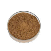 Extrait de Cissus fabriqué en Inde, poudre naturelle à base de plantes, emballé sous vide, qualité alimentaire pour la santé, pour la force des os et les soins des articulations