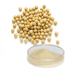 Proteína de Soya Aislada en Polvo al por Mayor, Calidad Premium, Fabricación OEM, Grado Alimenticio, Suministro a Granel - Product Image 1