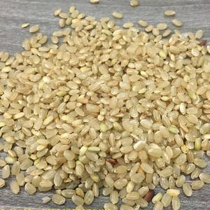 Arroz Integral para Sushi de Alta Calidad, Buen Precio, Arroz Integral de Grano Corto al por Mayor, 1 kg, 2 kg, 5 kg de VILACONIC [Sr. Max] - Product Image 2