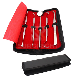 Kit de Instrumentos para Examen Dental de 5 Piezas, Espejo Manual, Pinzas, Sonda, Explorador, Juego Quirúrgico de Acero Inoxidable de Blush Surgical - Product Image 2