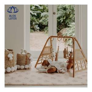 Gimnasio para Bebés de Ratán Premium 2026, Superficie Suave, Marco de Actividades para Bebés, Estimula la Exploración Sensorial y la Decoración, MÁS VENDIDO - Product Image 5