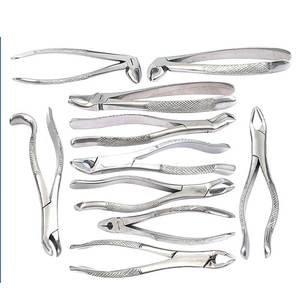 Orthopedic Dental Extracting Forceps Set 10-Piece Stainless Steel Surgical Instruments Kit for Horses & Dogs - Product Image 2