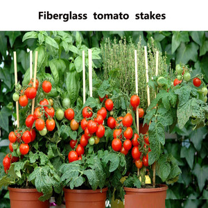 Agricultural Garden FRP Fiberglass Plant Stakes - Product Image 4