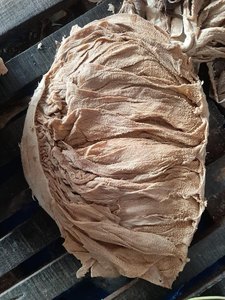 Prix d'usine, tripes de bœuf salées congelées de haute qualité, emballage en vrac, processus de congélation IQF, origine Belgique, haute qualité - Product Image 6