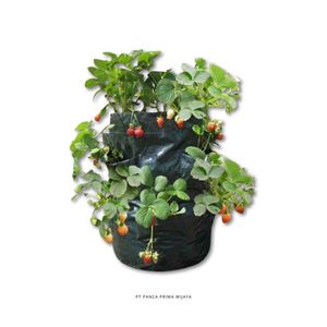Sac de culture vertical en tissu HDPE de haute qualité pour fraises, 8 poches, 36x46cm, réutilisable - Product Image 2