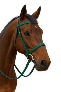 Bridon pour cheval OEM/ODM en PVC/Biothene – Plusieurs tailles avec mors amovibles en acier inoxydable, plusieurs couleurs, pour l'équitation - Product Image 3