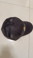 Casquette de baseball unisexe pour adulte - 100 % coton, toutes saisons, décontractée, 5 panneaux, en satin/toile/twill, imprimée par transfert thermique, ajustée
