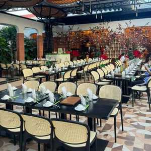 Silla de Plástico Moldeado Imitación Mimbre de Alta Gama TM09 Color Marrón con Reposabrazos - Una Silla de Jardín Elegante y Confiable - Product Image 5