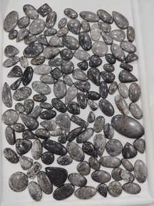 100% Piedra preciosa suelta de Coral fósil negro Natural Cabujón fósil de alta calidad Piedra preciosa de Coral fósil suelta para hacer joyería - Product Image 2