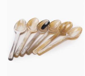 Vintage Buffalo Horn Tea <b>Spoons</b> Long Handle Mirror Polish Durable <b>Serving</b> <b>Spoon</b> for Coffee Tea Dining - Product Image 1