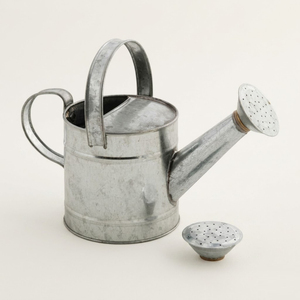 Heavy-Duty Galvanized Steel Watering Can With Removable Long Spout And Sprinkler Head Durable Metal Pot For Indoor & Outdoor Can - Product Image 1