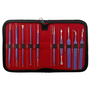 Kit de 10 Herramientas para Eliminar Puntos Negros y Espinillas, Extractor de Acné de Acero Inoxidable Morado, Herramientas de Belleza Facial para el Cuidado de la Piel - Product Image 2