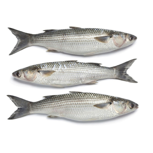 Salmón de Calidad de Exportación para Restaurantes, Hoteles, Servicios de Catering y Redes Internacionales de Distribución de Mariscos - Product Image 1