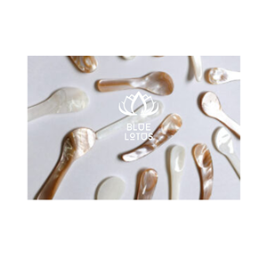 Cuillère en nacre Pure Shell Utensil 2026, la préférée des clients, sûre, propre et écologique, idéale pour la dégustation de desserts et le service de caviar. Prix. - Product Image 1