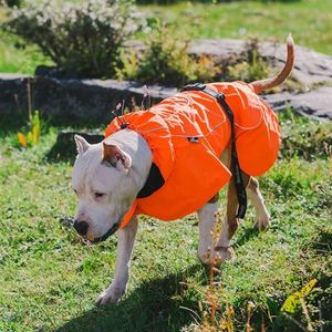 Gilet Sportivo per Cani di Piccola Taglia, Regolabile con Cordoncino, Caldo, Confortevole e Impermeabile, Colore Arancione, per Abbigliamento Caldo da Esterno - Product Image 3
