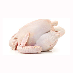Poulet entier congelé de qualité export pour les marchés mondiaux - Product Image 6