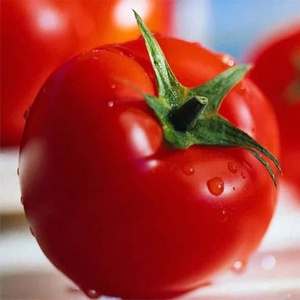Semillas de Tomate Cherry Orgánico Híbrido F1 con Alta Tasa de Germinación - Venta al por Mayor, Empaque al Vacío, Estable - Product Image 4