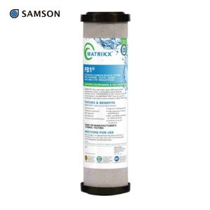 Filtre à charbon actif MATRIKX PB1 06-250-10 10 pouces - Product Image 1