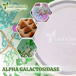 Alpha Galactosidase Enzyme pour la transformation des aliments-Soutien digestif-Réduit les anti-nutriments d'Inde | Enzymes alimentaires | - Product Image 2