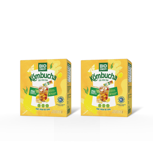 Bebida de Kombucha de Preparación Rápida al por Mayor, Empaque Personalizado, Bebida Instantánea Probiótica en Polvo para Productos - Product Image 1