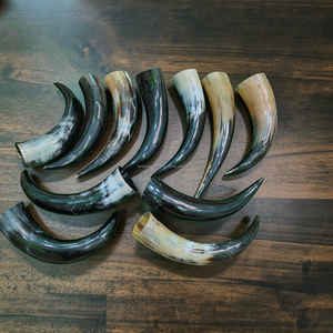 Authentique cornes de bœuf nordiques vikings pour boire, style rustique médiéval, au meilleur prix - Product Image 3