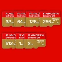 Tarjeta microSDHC SanDisk Extreme GO de 32 GB V30 A1 para cámara