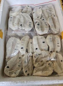 BULK IQF FROZEN SOURSOP PUREE VIETNAM TROPICAL FRUIT MANUFACTURER - Product Image 6