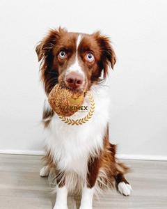 Bola de perro de fibra de coco duradera Bola de masticar natural para el cuidado dental de mascotas y tiempo de juego - Product Image 3