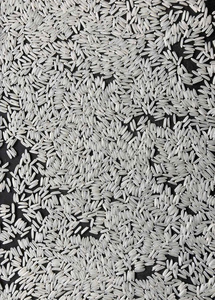 Meilleur Prix Riz Blanc Long Grain ST25 5% Brisure Récolte Nouvelle du Sud du Mé Kong Séché Exporté du Vietnam Grace Pham WA899199372 - Product Image 2