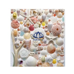 Artisanat en coquillages naturels écologiques DISPONIBLE |   Décoration d'intérieur et artisanat en coquillages durables faits à la main - Product Image 1