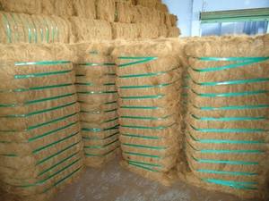 Fibra de Coco de Calidad de Exportación al por Mayor - Durabilidad/Versatilidad |   Retardante de llama |   Fabricante y Exportador en India - Product Image 3