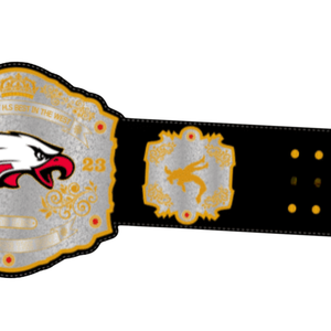 Cinturón de Campeonato Eagle Personalizable, Cinturón Deportivo de Alta Calidad con Logotipo de Águila y Placas Personalizadas - Product Image 5