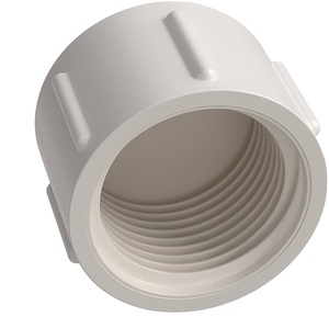 Nhà sản xuất C-Way của phụ kiện ống nhựa PVC tiêu chuẩn DIN 2 inch, đầu bịt bằng, ren trong, chịu hóa chất - Product Image 1